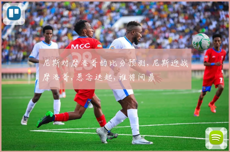 尼斯对摩洛哥的比分预测,尼斯迎战摩洛哥,悬念迭起,谁将问鼎
